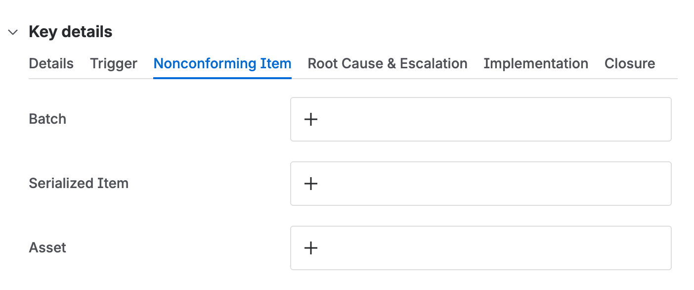 The nonconforming item tab, with link fields for a batch, a serialized item, and an asset.